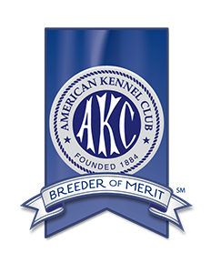 AKC Breeder of Merit Logo